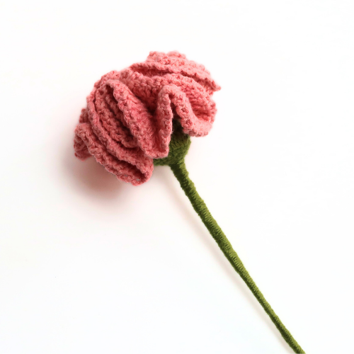 Carnation 1pc