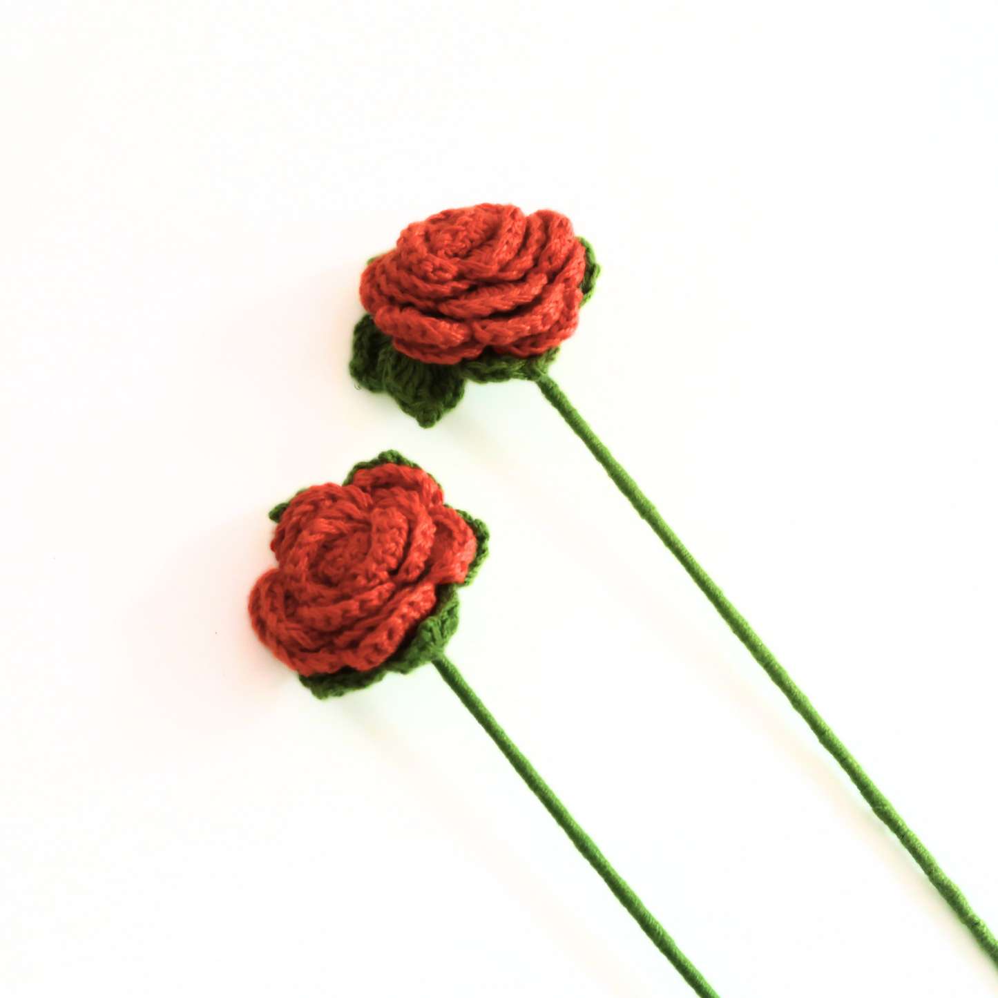Twin Flame Roses Friendships Day Special