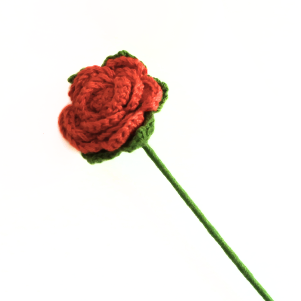 Firecracker Flower 1pc