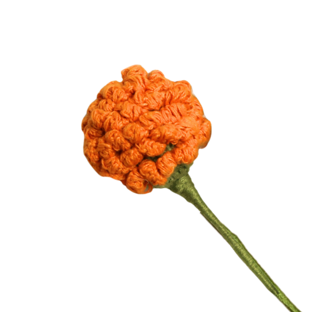Marigold 1pc