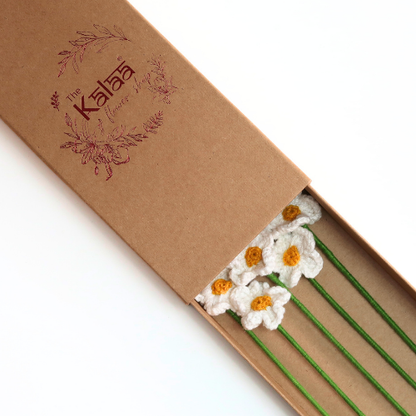 Primrose Crochet Flowers Set of 5 Gift Box