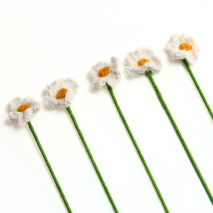 Primrose Crochet Flowers Set of 5 Gift Box